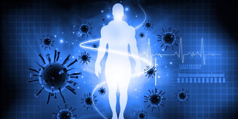 Immune System Optimisation – Part 1