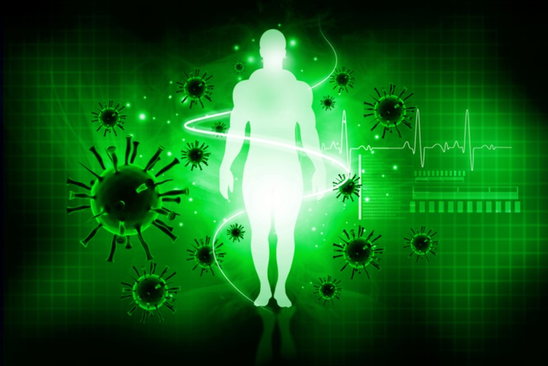 Immune System Optimisation – Part 2