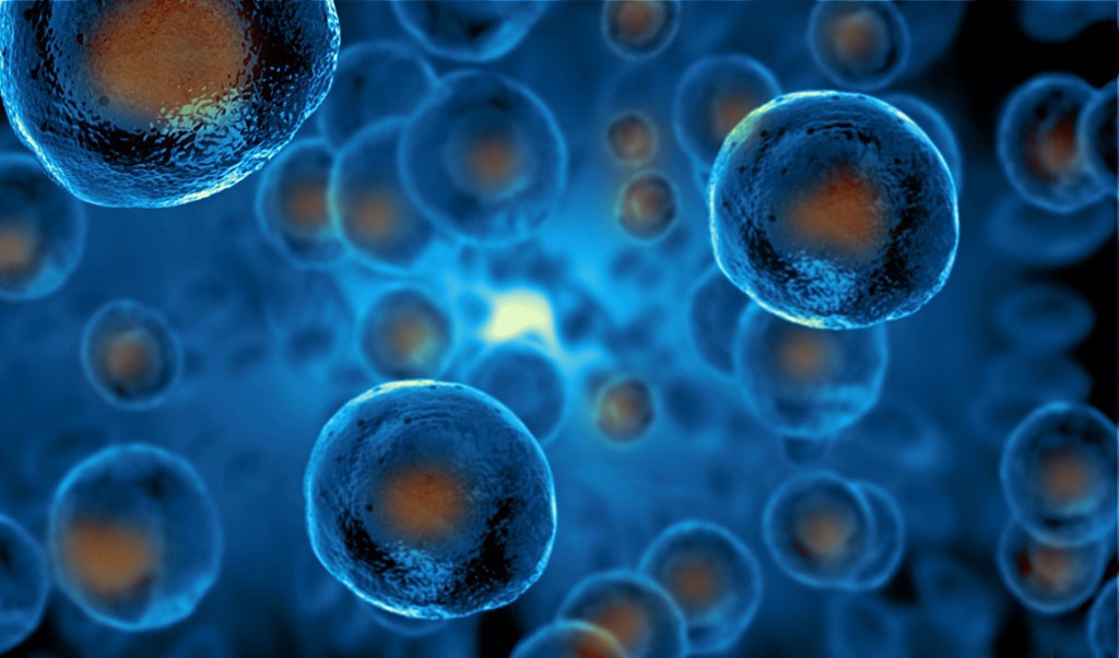 Longevity: Eliminating Senescent Cells