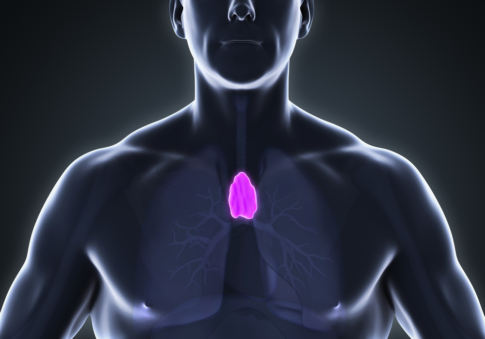 Longevity: Thymus Health and Regeneration